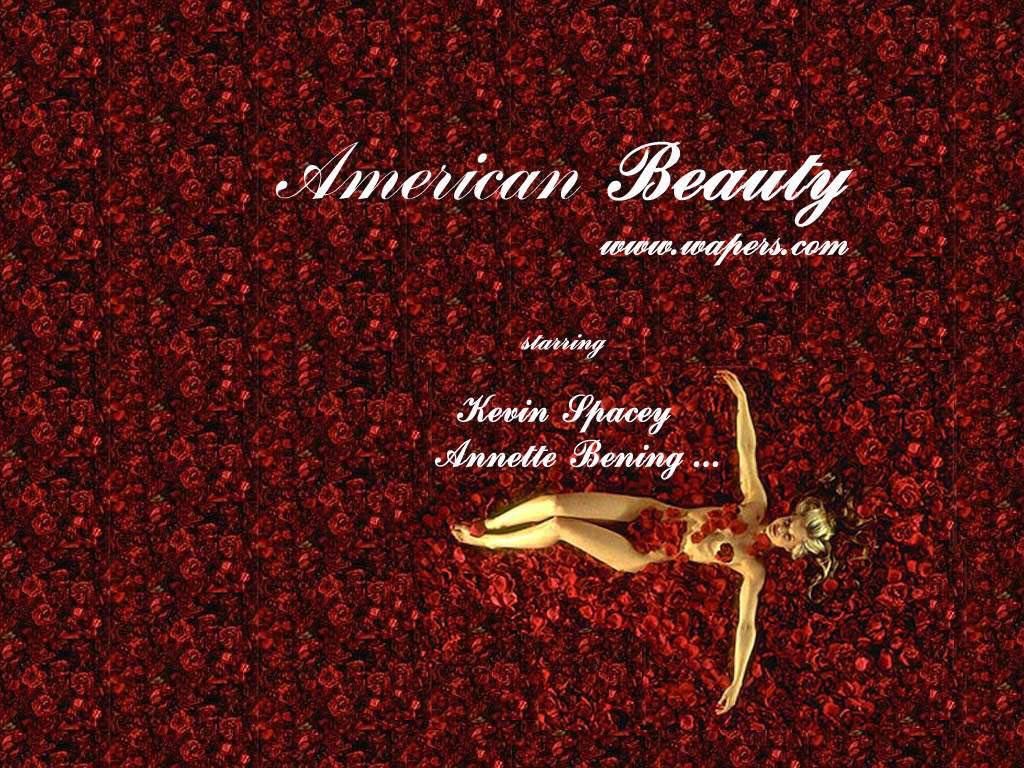 Фильм Красота по-американски | American Beauty - лучшие обои для рабочего стола