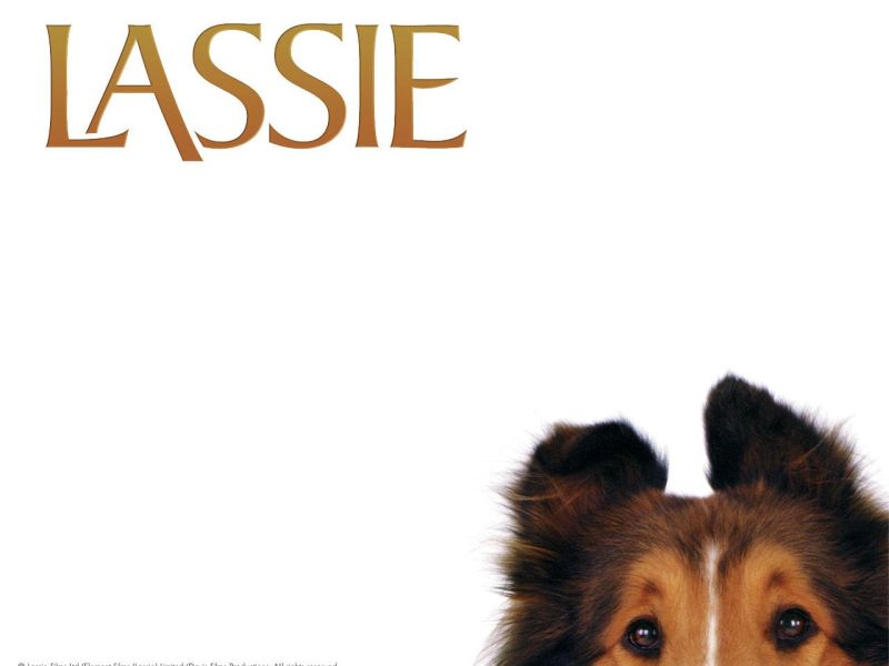 Фильм Лэсси | Lassie - лучшие обои для рабочего стола