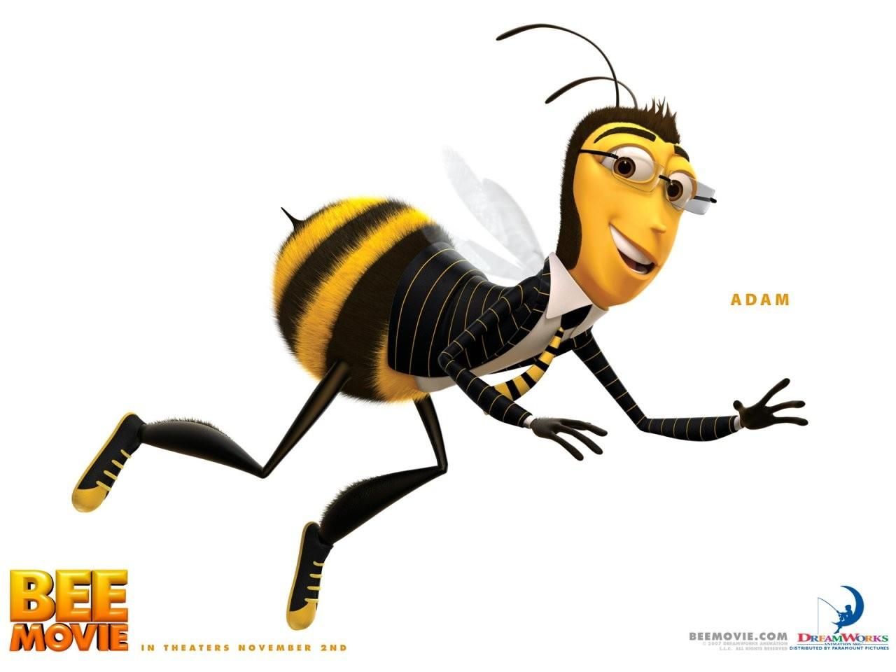 Фильм Би Муви: медовый заговор | Bee Movie - лучшие обои для рабочего стола