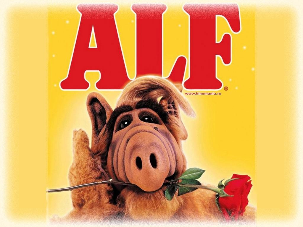 Фильм Альф | ALF - лучшие обои для рабочего стола