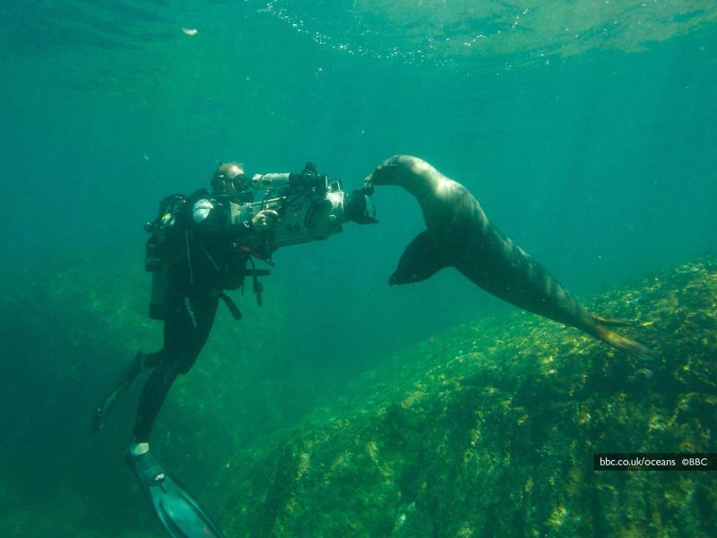 Фильм Океаны | Oceans - лучшие обои для рабочего стола