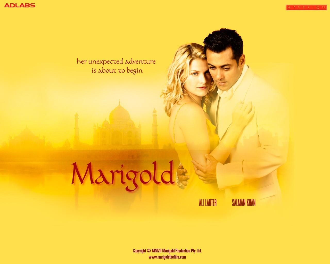 Фильм Мариголд | Marigold - лучшие обои для рабочего стола