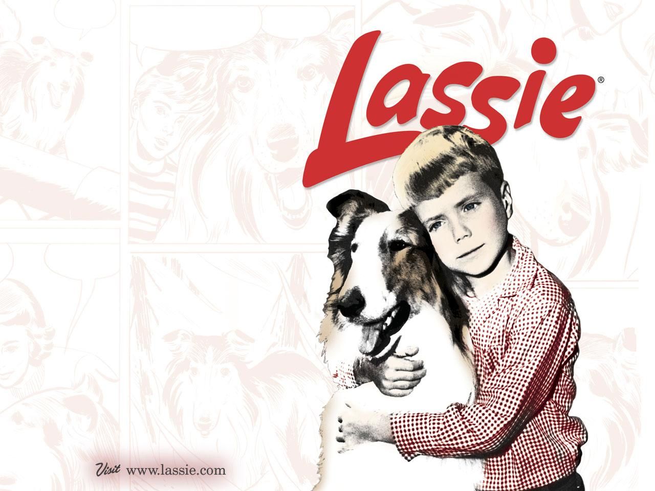 Фильм Лэсси | Lassie - лучшие обои для рабочего стола