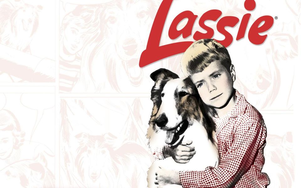 Фильм Лэсси | Lassie - лучшие обои для рабочего стола