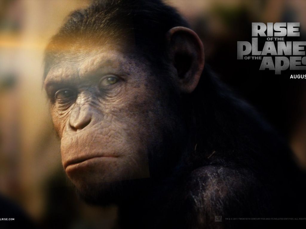 Фильм Восстание планеты обезьян | Rise of the Planet of the Apes - лучшие обои для рабочего стола