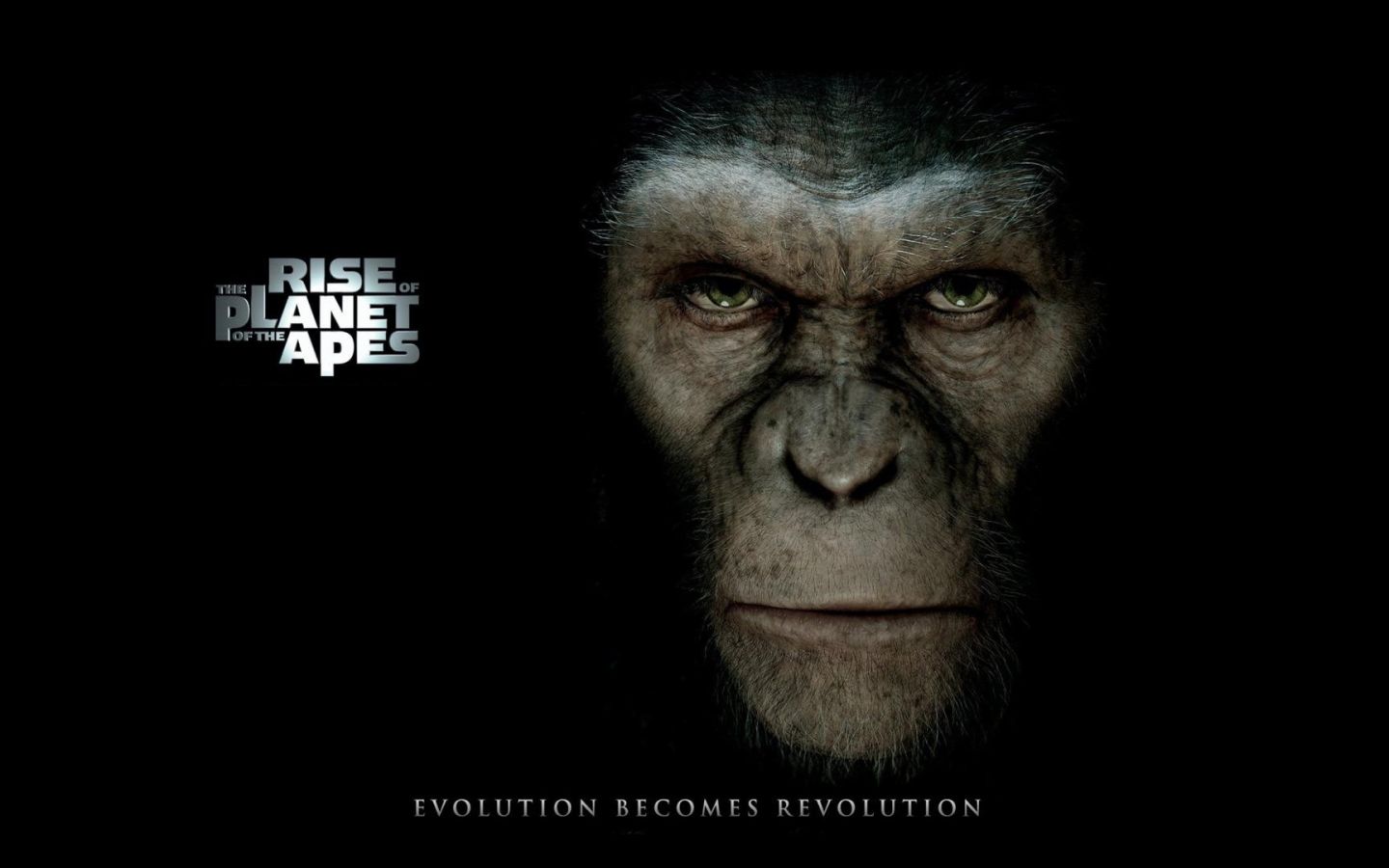 Фильм Восстание планеты обезьян | Rise of the Planet of the Apes - лучшие обои для рабочего стола