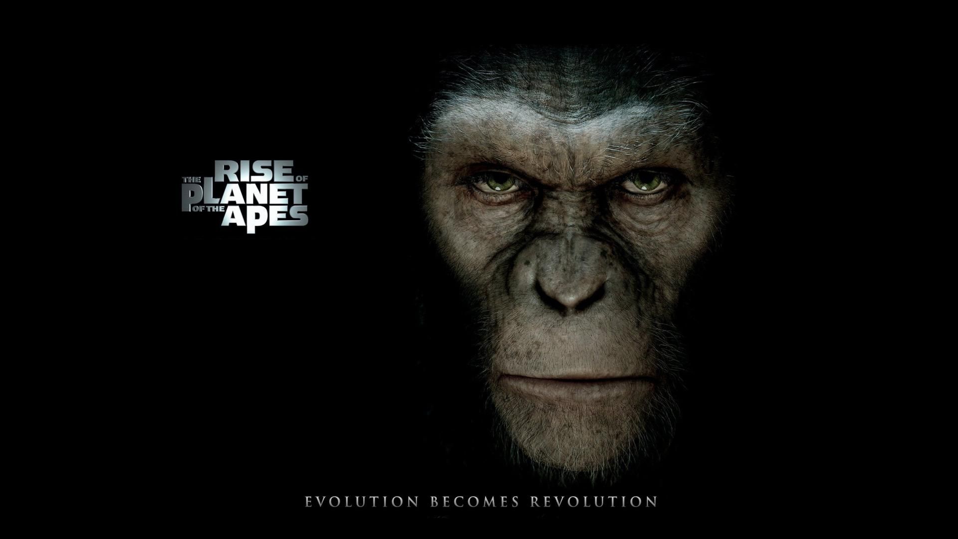 Фильм Восстание планеты обезьян | Rise of the Planet of the Apes - лучшие обои для рабочего стола