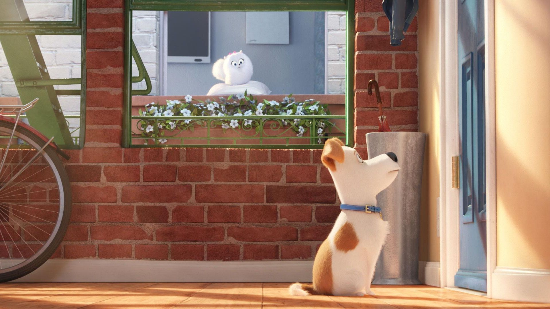 Фильм Тайная жизнь домашних животных | Secret Life of Pets - лучшие обои для рабочего стола