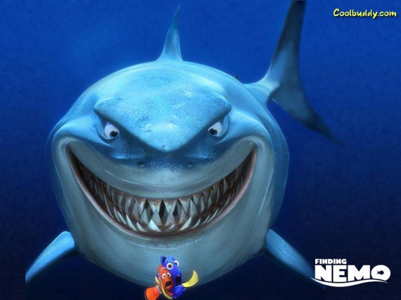 Фильм В поисках Немо | Finding Nemo - лучшие обои для рабочего стола