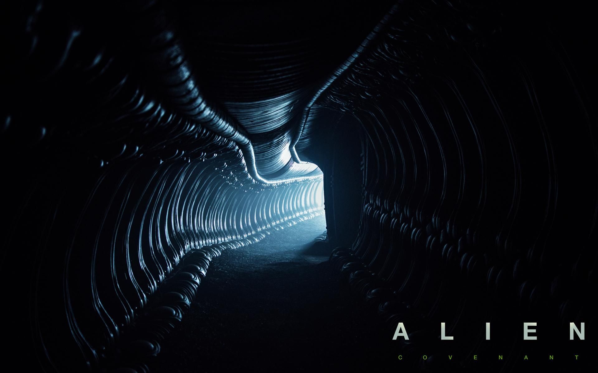 Фильм Чужой: Завет | Alien: Covenant - лучшие обои для рабочего стола