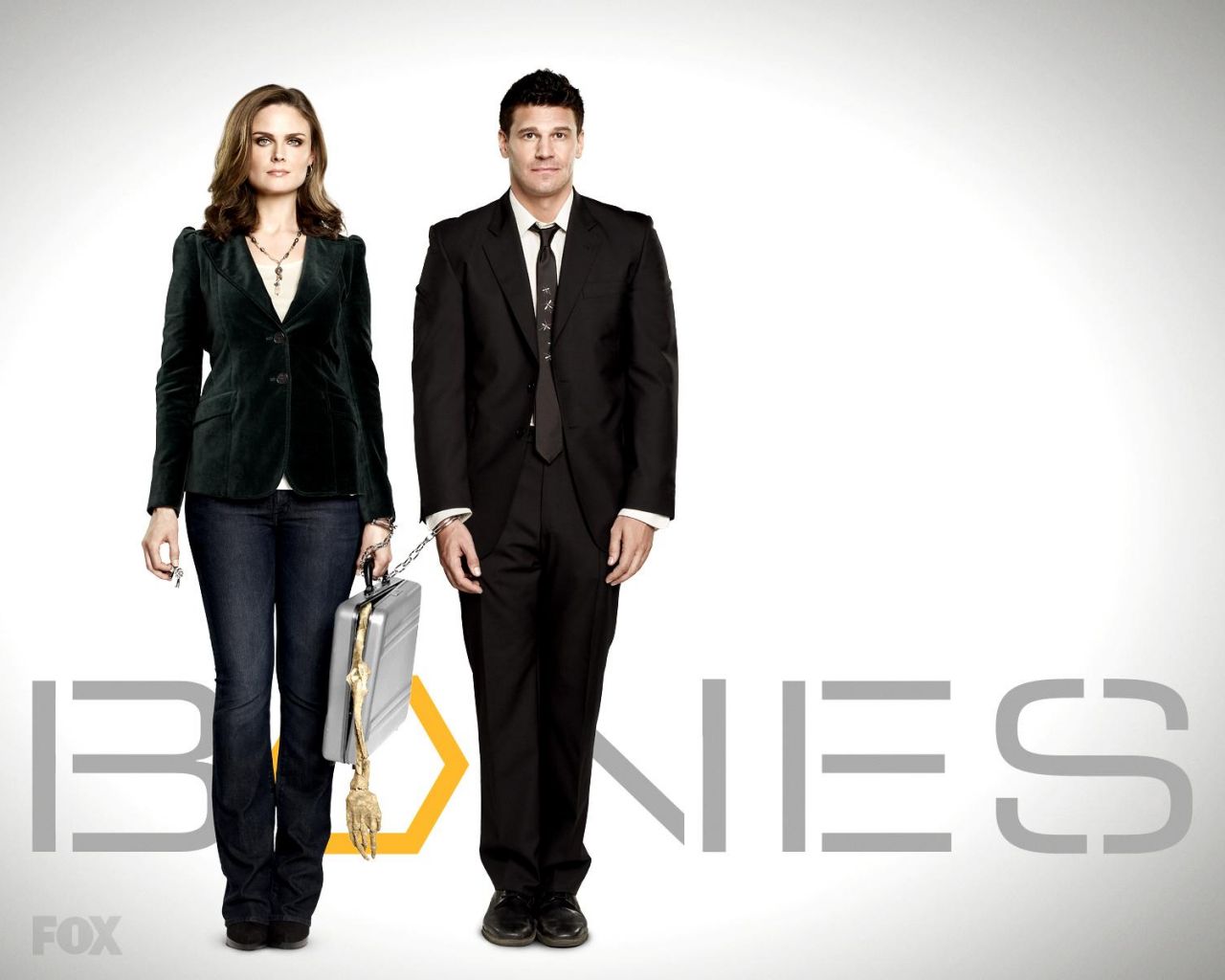 Фильм Кости | Bones - лучшие обои для рабочего стола
