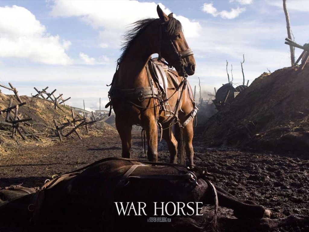 Фильм Боевой конь | War Horse - лучшие обои для рабочего стола