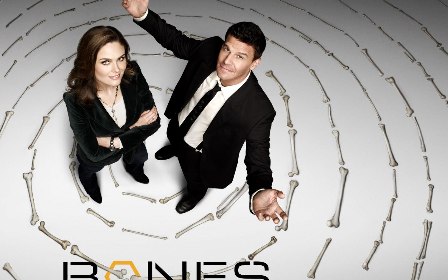 Фильм Кости | Bones - лучшие обои для рабочего стола
