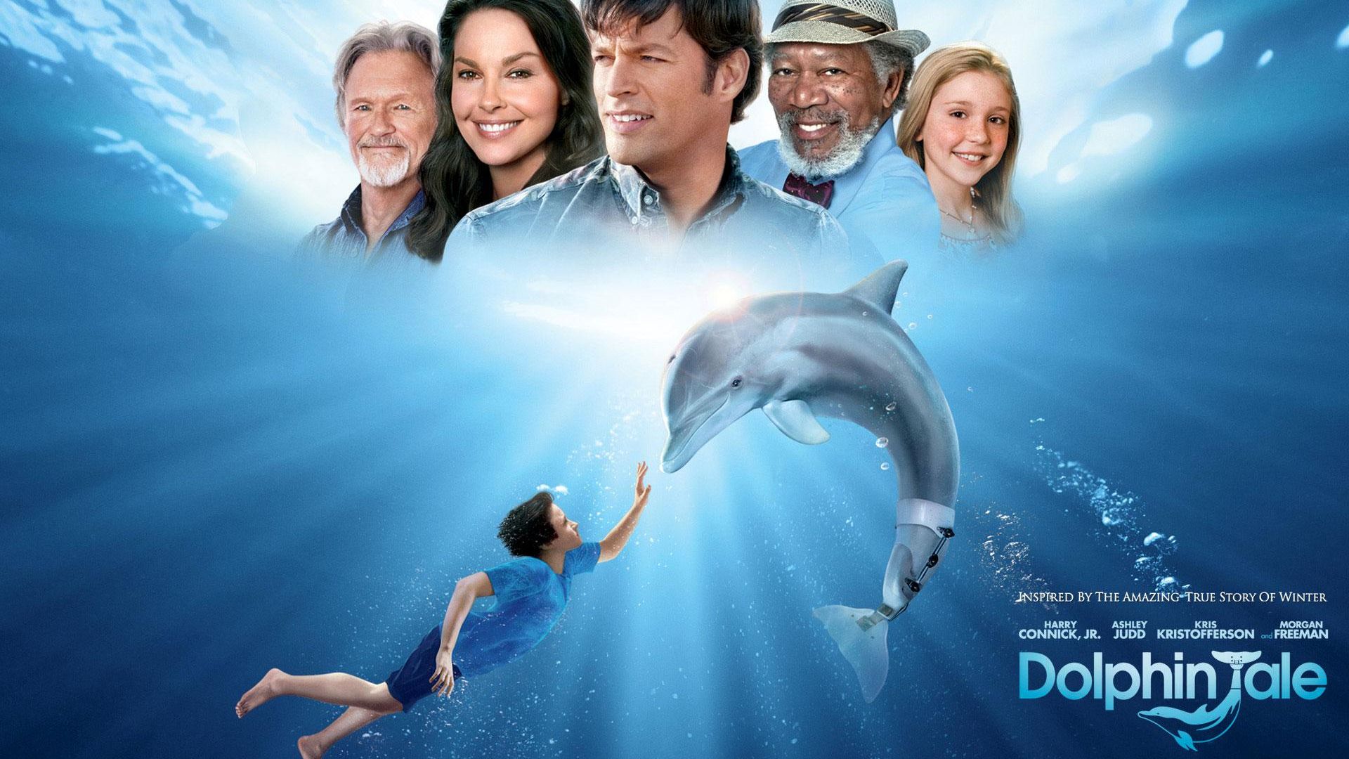 Фильм История дельфина | Dolphin Tale - лучшие обои для рабочего стола