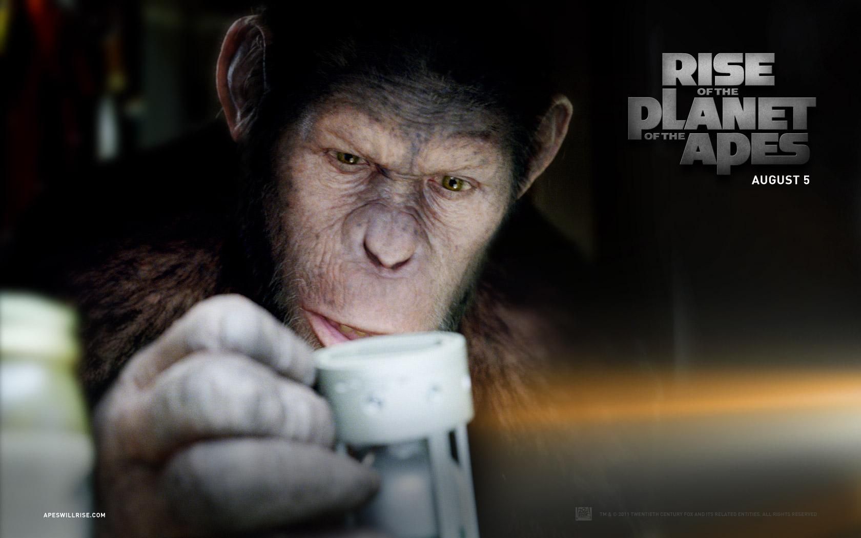 Фильм Восстание планеты обезьян | Rise of the Planet of the Apes - лучшие обои для рабочего стола